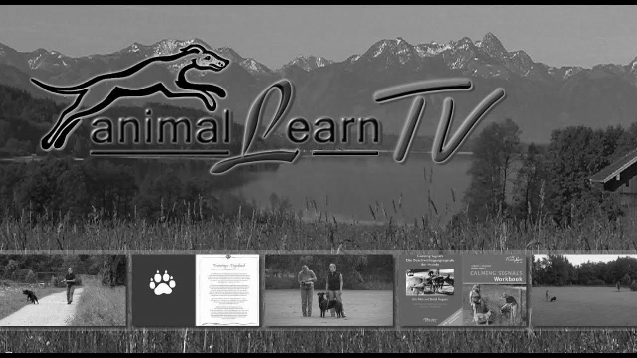 animal learn TV – 26.09.2014