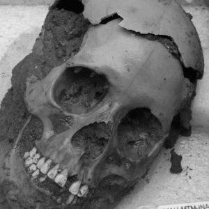 Police found 150 skulls at a “crime scene” in Mexico. It turns out the victims, mostly women, were ritually decapitated over 1,000 years ago.