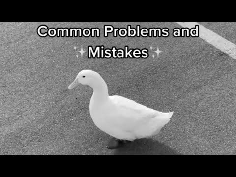 How to Decide Up a Duck #1 (full video)