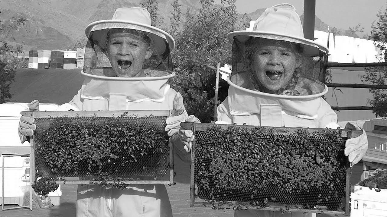 Diana and Roma Find out about Bees, HATTA Honey Bee Backyard Tour – Fun household trip