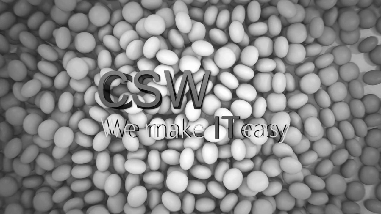 CSW – We make IT easy |  IT Providers |  Web Design |  web optimization service from Hamm