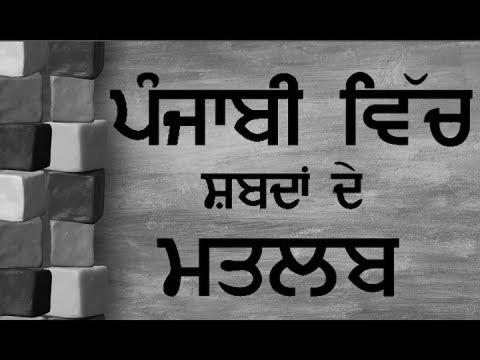 ਪੰਜਾਬੀ ਸਿੱਖੋ |  Learn Punjabi Language With Sentences For Inexperienced persons |  Pronounce The Matra & Vowels